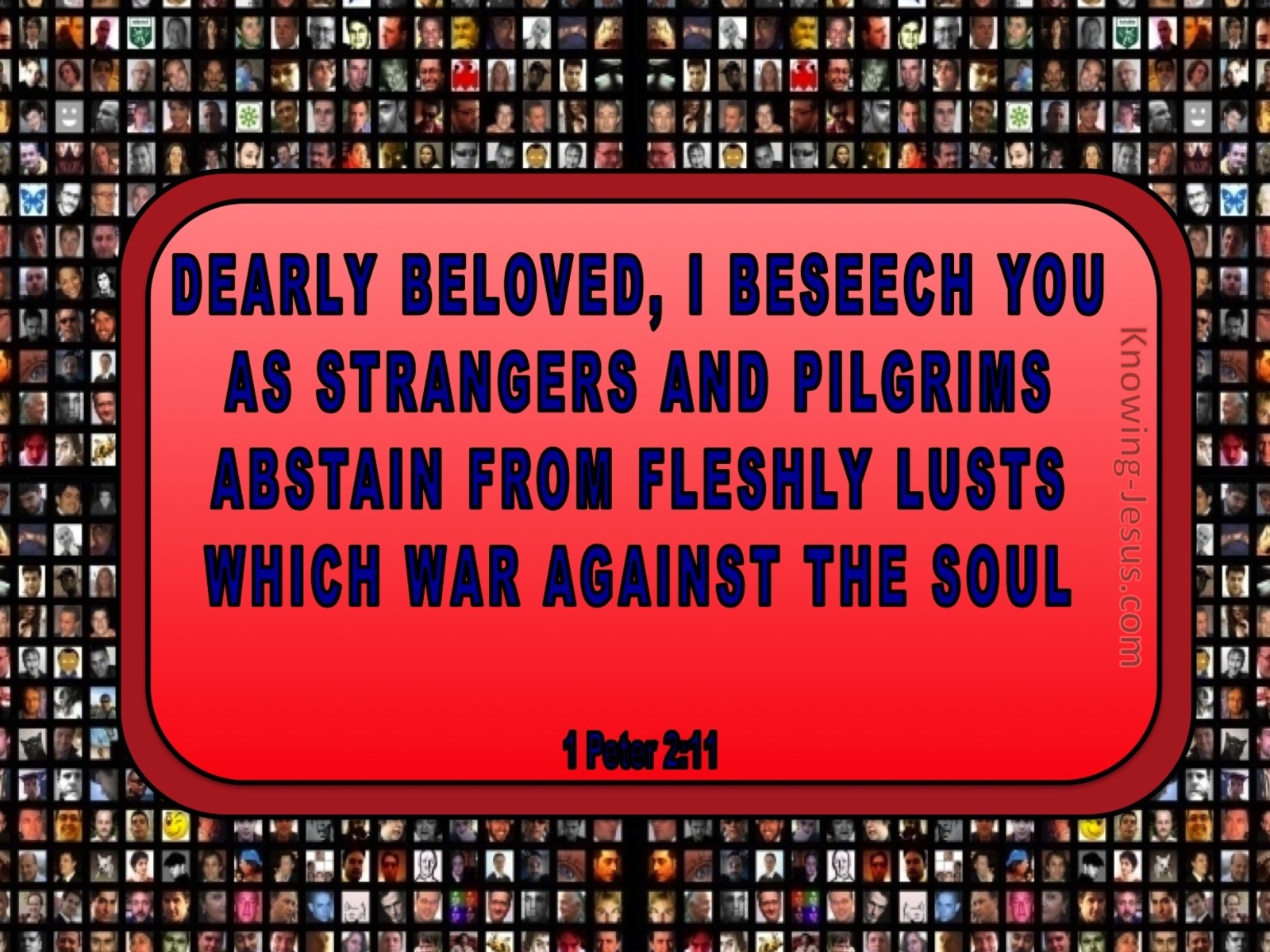 1 Peter 2:11 Abstain From Fleshly Lusts (red)